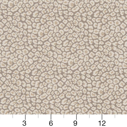 CB800-220 Animal Print nan Beige & Taupe,Grey & Silver Charlotte Colors