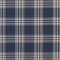 CB800-230 Plaid nan Blue Charlotte Colors