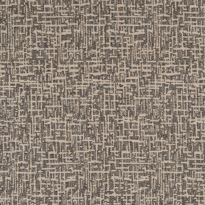 CB800-253 Small Scale nan Blue Charlotte Colors