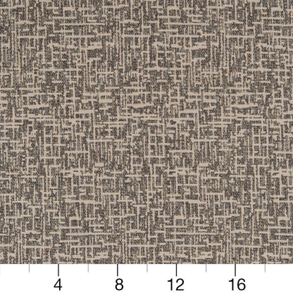 CB800-253 Small Scale nan Blue Charlotte Colors