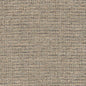 CB800-261 Plain & Solid nan Blue Charlotte Colors