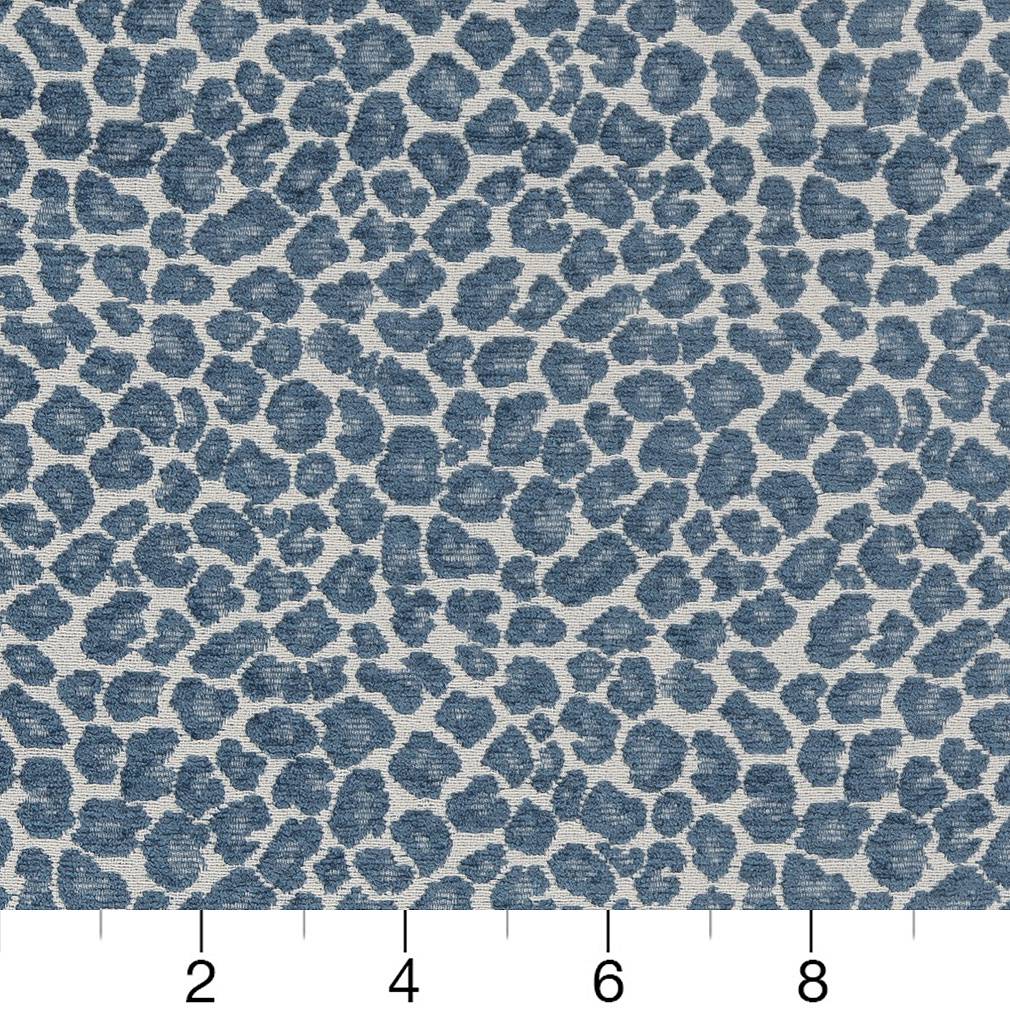 CB800-262 Animal Print,Small Scale nan Blue Charlotte Colors