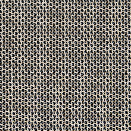 CB800-264 Small Scale nan Blue Charlotte Colors