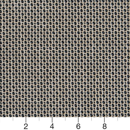 CB800-264 Small Scale nan Blue Charlotte Colors