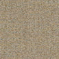 CB800-270 Plain & Solid nan Beige & Taupe Charlotte Colors