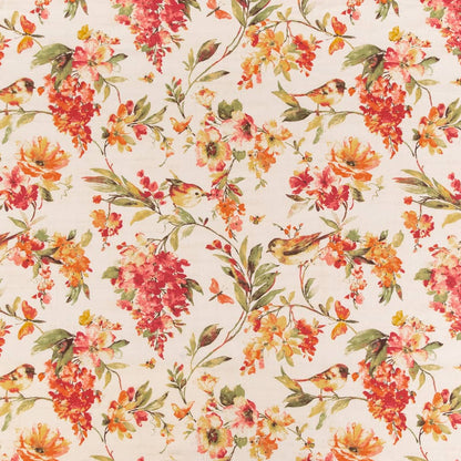 CB800-275 Floral nan Orange & Rust Charlotte Colors