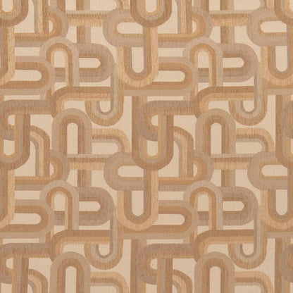 CB800-334 Abstract & Geometric nan Coral & Peach,Pink Charlotte Colors