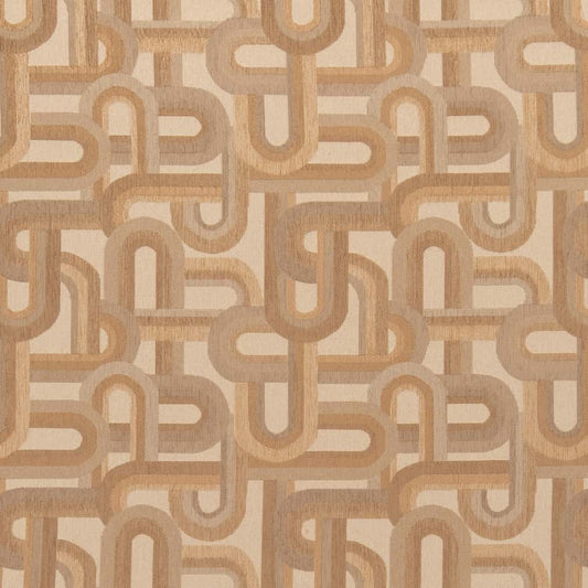 CB800-334 Abstract & Geometric nan Coral & Peach,Pink Charlotte Colors