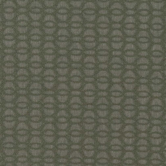 CB800-366 Abstract & Geometric,Small Scale nan Green Charlotte Colors