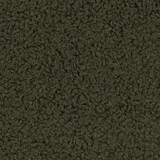 CB800-367 Plain & Solid,Sheerling nan Green Charlotte Colors