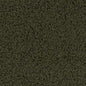 CB800-367 Plain & Solid,Sheerling nan Green Charlotte Colors