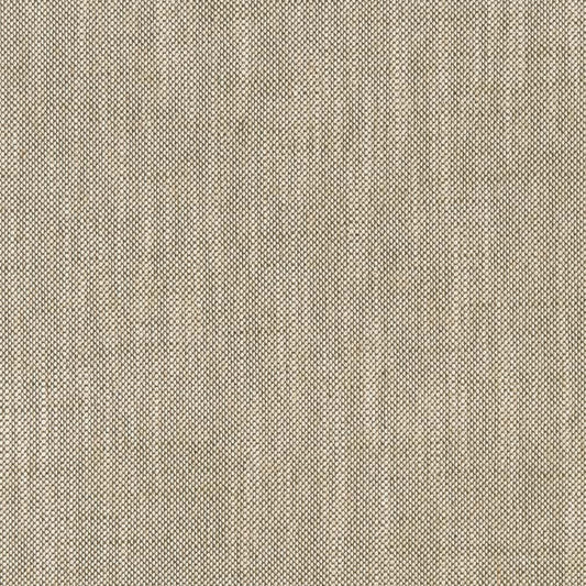 CB800-374 Plain & Solid nan Green Charlotte Colors