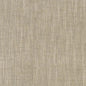 CB800-374 Plain & Solid nan Green Charlotte Colors