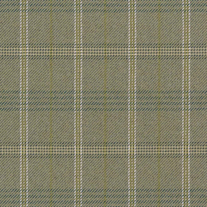 CB800-378 Plaid nan Green Charlotte Colors