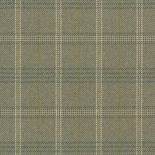 CB800-378 Plaid nan Green Charlotte Colors