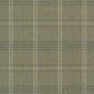 CB800-378 Plaid nan Green Charlotte Colors