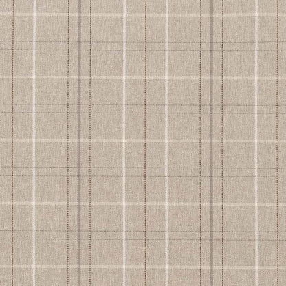 CB800-403 Plaid nan Grey & Silver Charlotte Colors