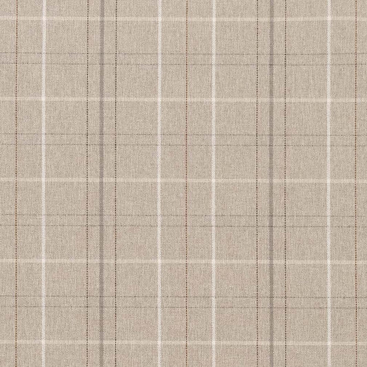 CB800-403 Plaid nan Grey & Silver Charlotte Colors