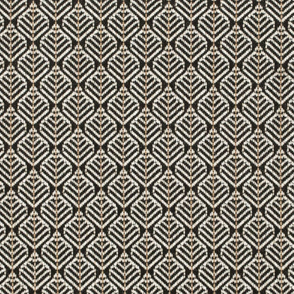 CB800-414 Abstract & Geometric,Small Scale nan Black Charlotte Colors