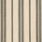 CB800-428 Stripe nan Black Charlotte Colors