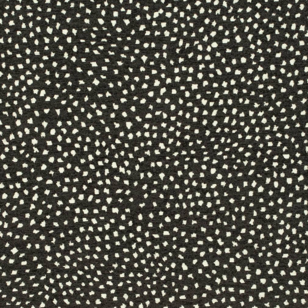 CB800-432 Abstract & Geometric,Animal Print,Small Scale nan Black Charlotte Colors
