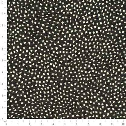 CB800-432 Abstract & Geometric,Animal Print,Small Scale nan Black Charlotte Colors