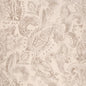 CB800-489 Abstract & Geometric,Paisley nan Beige & Taupe,Brown Charlotte Colors
