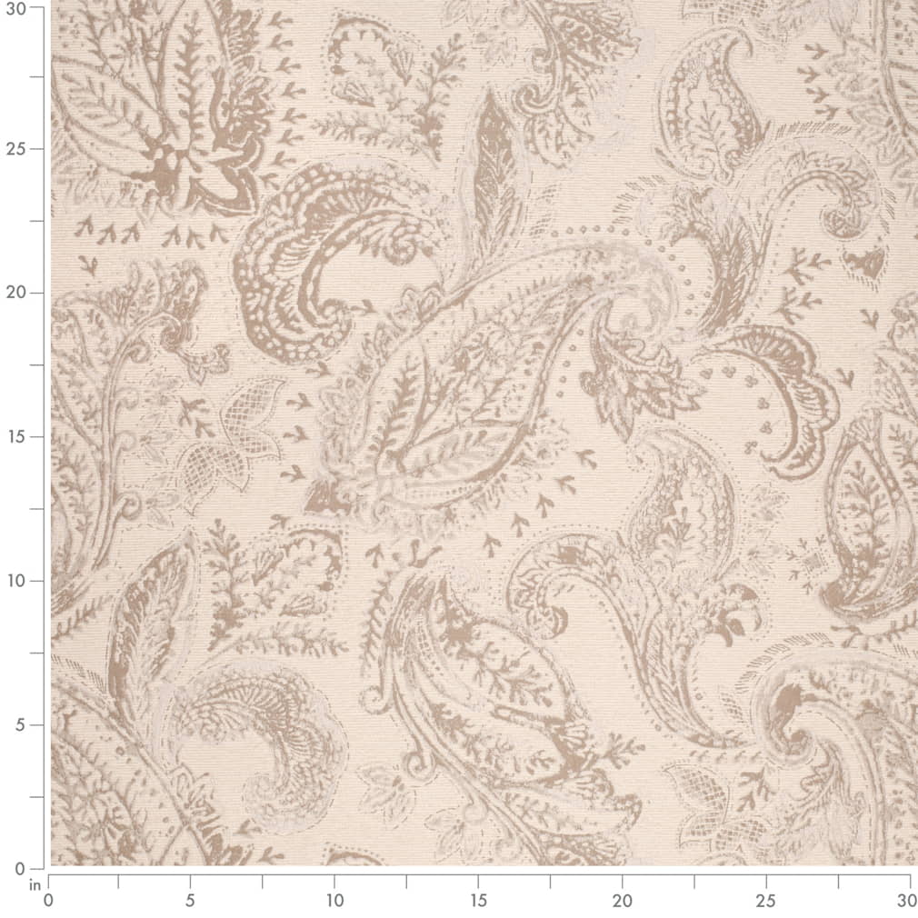 CB800-489 Abstract & Geometric,Paisley nan Beige & Taupe,Brown Charlotte Colors