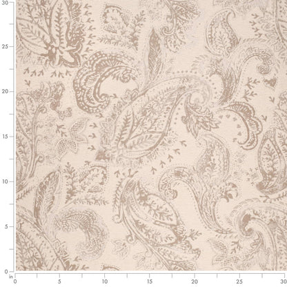 CB800-489 Abstract & Geometric,Paisley nan Beige & Taupe,Brown Charlotte Colors