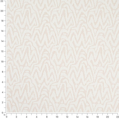 CB800-525 Abstract & Geometric nan White & Ivory Charlotte Fabrics