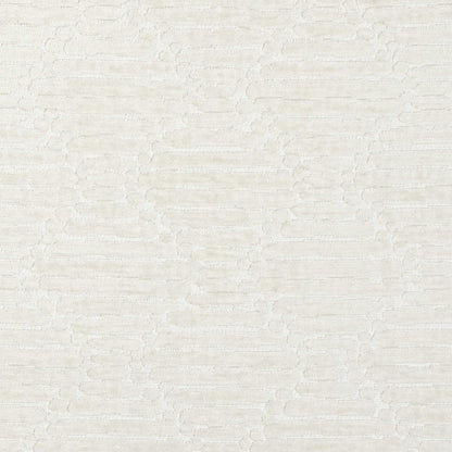 CB800-527 Abstract & Geometric nan White & Ivory Charlotte Fabrics