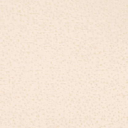 CB800-529 Abstract & Geometric,Animal Print,Small Scale nan White & Ivory Charlotte Fabrics