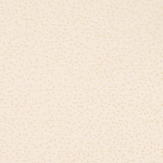 CB800-529 Abstract & Geometric,Animal Print,Small Scale nan White & Ivory Charlotte Fabrics