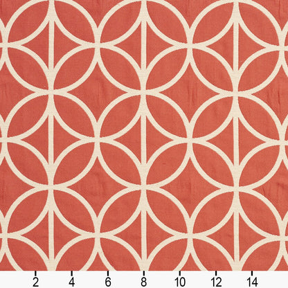 CB800-92 Abstract & Geometric nan Coral & Peach Charlotte Colors