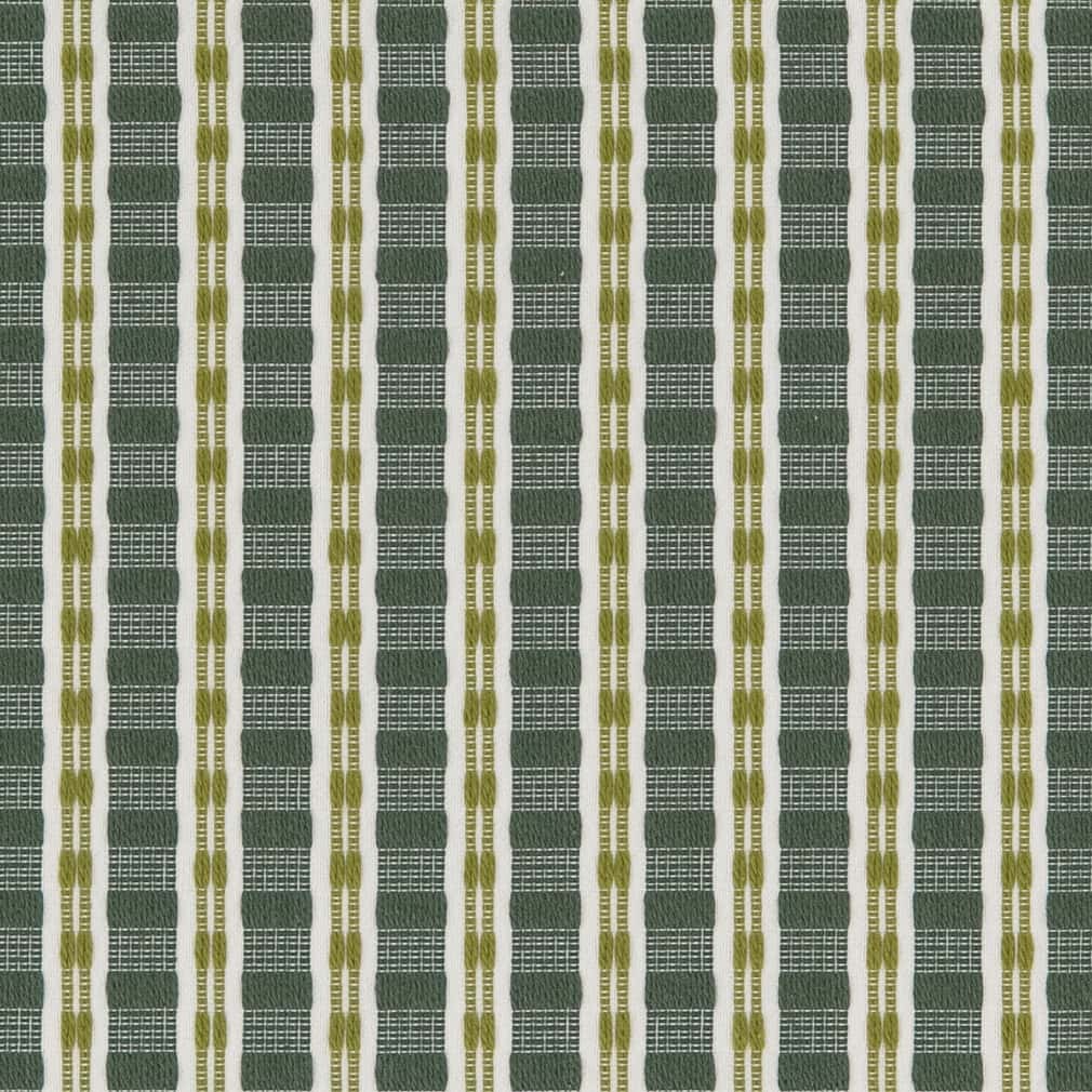 CB900-102 Plaid & Check,Stripe nan Green Charlotte Colors
