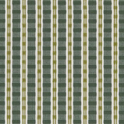 CB900-102 Plaid & Check,Stripe nan Green Charlotte Colors