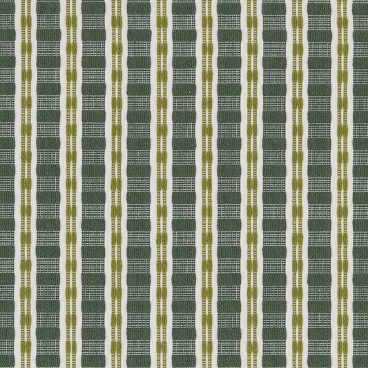 CB900-102 Plaid & Check,Stripe nan Green Charlotte Colors