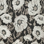 CB900-127 Floral nan Black Charlotte Colors