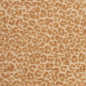 CB900-145 Animal Print nan Gold & Yellow Charlotte Colors