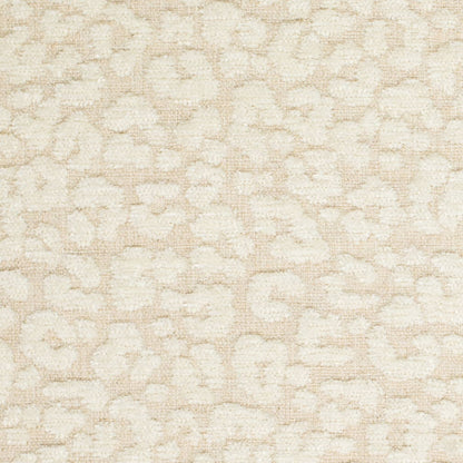 CB900-180 Abstract & Geometric,Animal Print nan Beige & Taupe Charlotte Colors