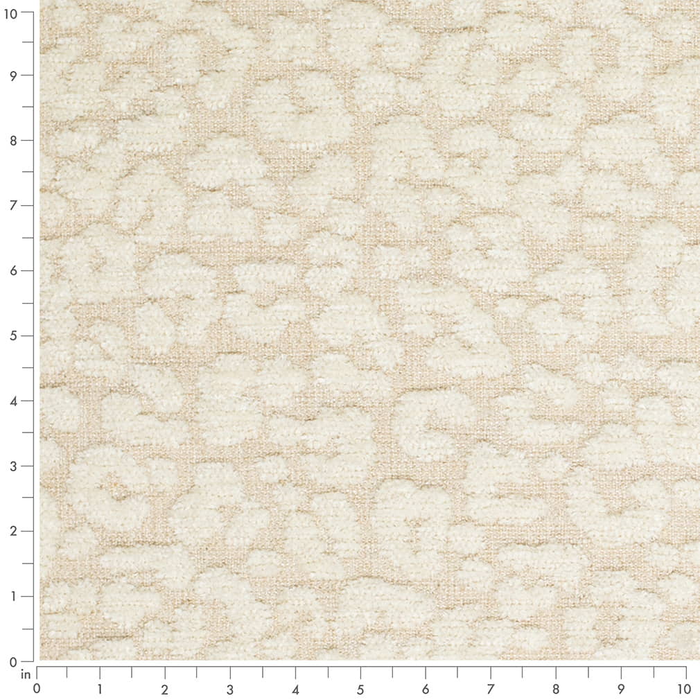 CB900-180 Abstract & Geometric,Animal Print nan Beige & Taupe Charlotte Colors