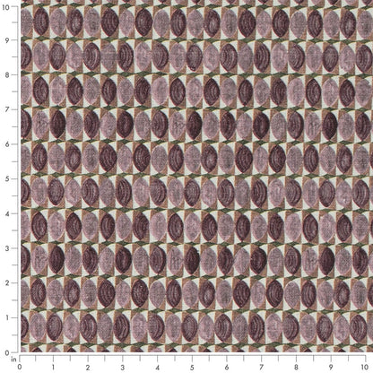 CB900-197 Abstract & Geometric,Small Scale nan Purple Charlotte Fabrics