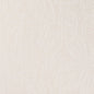CB900-201 Leaves,Tropical & Botanical nan White & Ivory Charlotte Fabrics