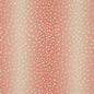 CB900-203 Animal Print nan Pink Charlotte Fabrics