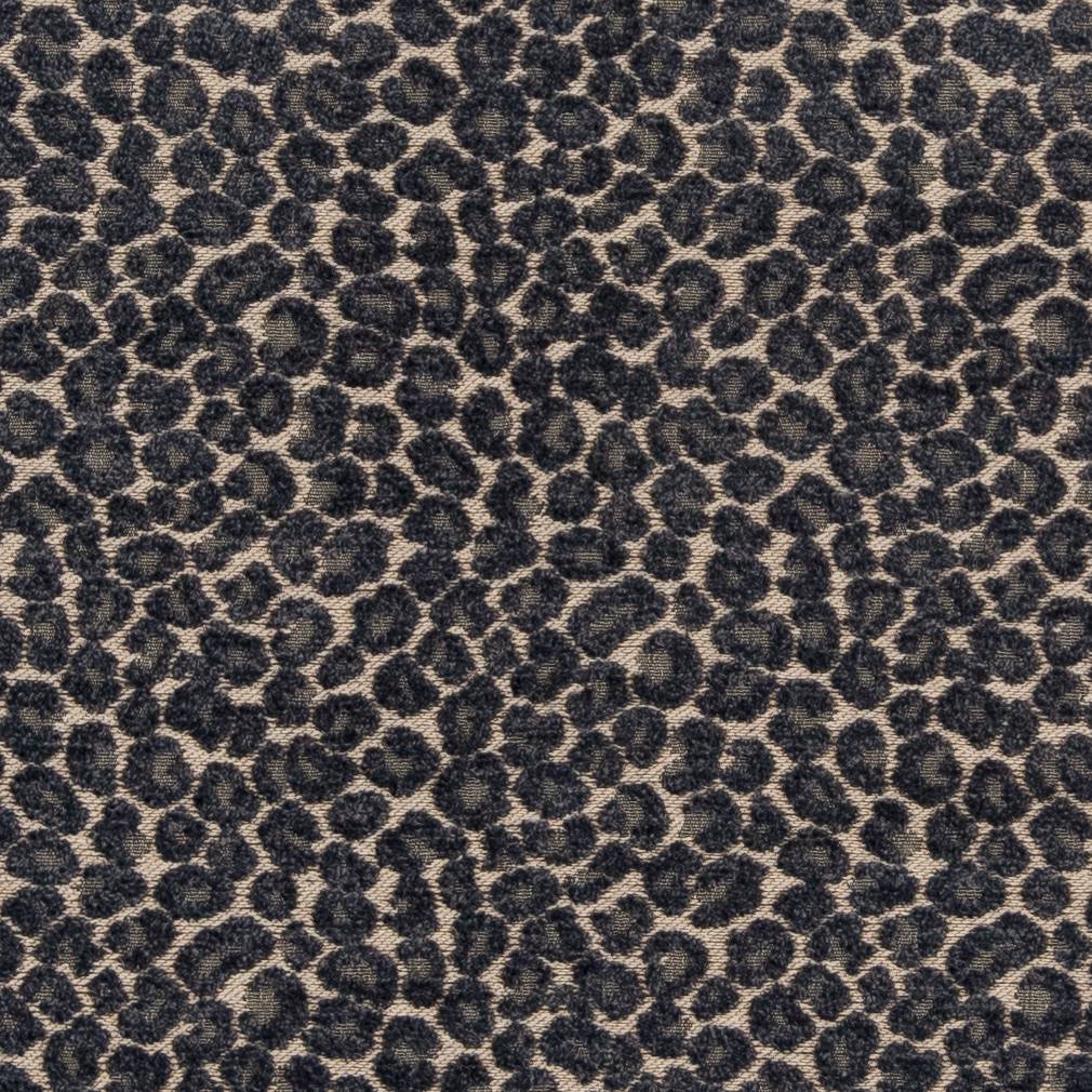 CB900-33 Animal Print nan Blue Charlotte Colors