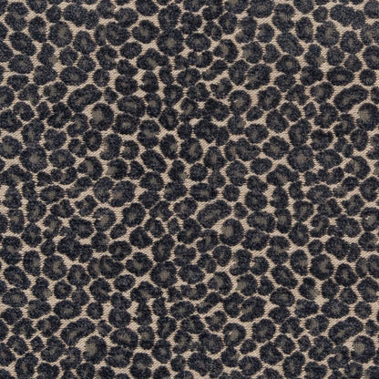 CB900-33 Animal Print nan Blue Charlotte Colors
