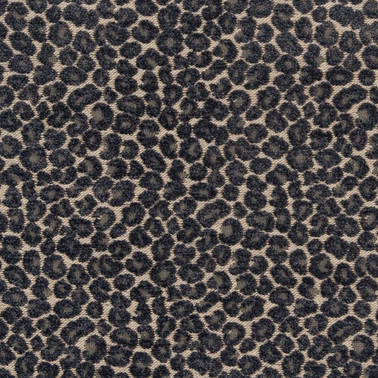 CB900-33 Animal Print nan Blue Charlotte Colors