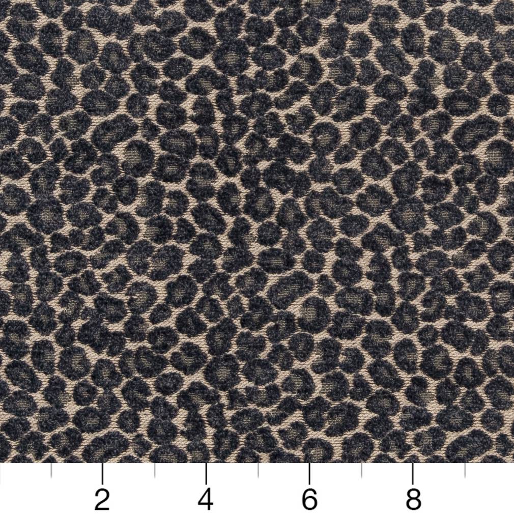 CB900-33 Animal Print nan Blue Charlotte Colors