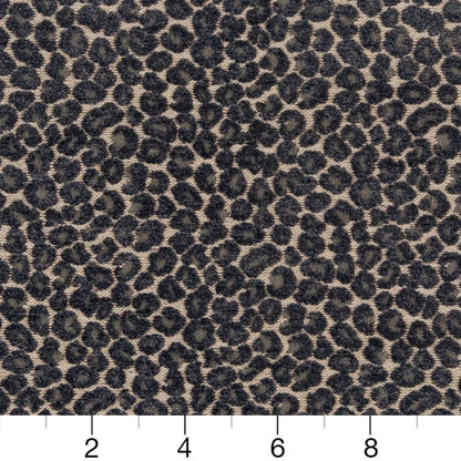 CB900-33 Animal Print nan Blue Charlotte Colors