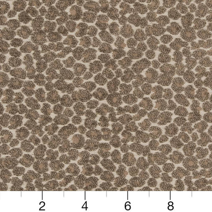 CB900-34 Animal Print,Small Scale nan Beige & Taupe,Brown Charlotte Colors